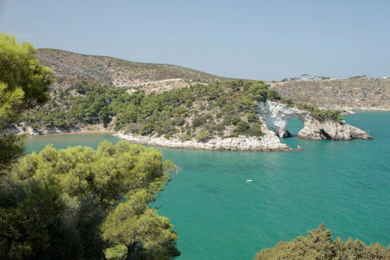 Petra Maris B&B Peschici Εξωτερικό φωτογραφία