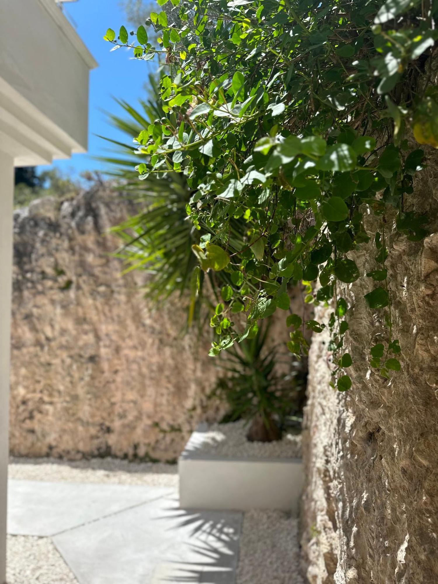 Petra Maris B&B Peschici Εξωτερικό φωτογραφία